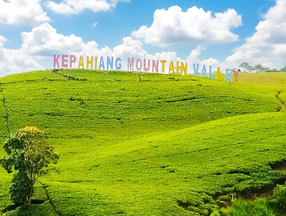 Wisata Alam Bengkulu Kebun Teh